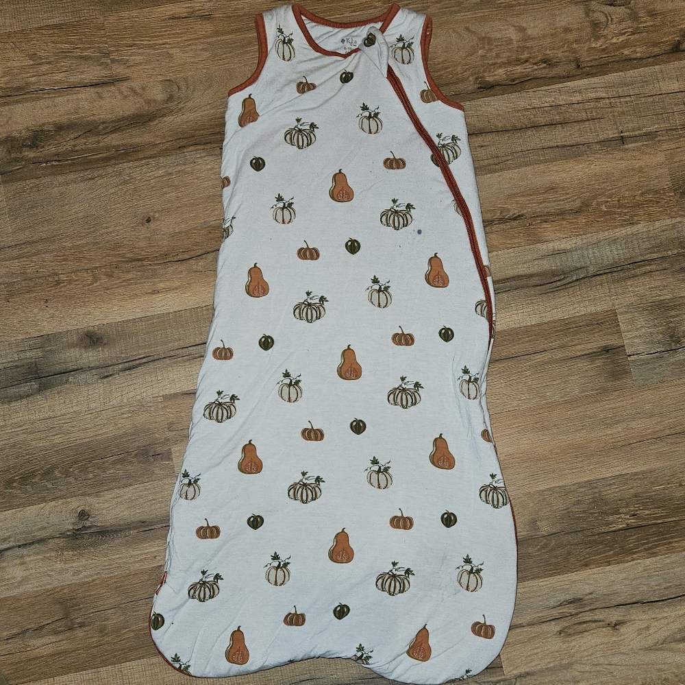 Sleep Sack Kyte Baby
